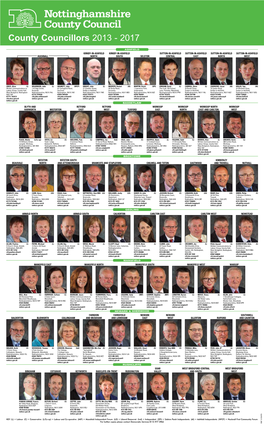 County Councillors 2013 - 2017