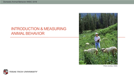 Introduction & Measuring Animal Behavior
