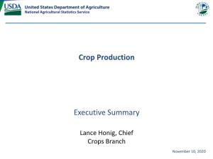 Crop Production (November 2020)