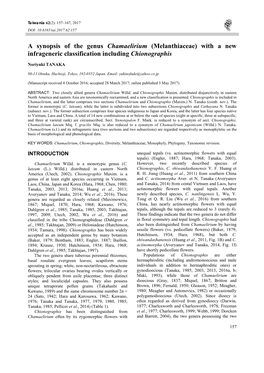 A Synopsis of the Genus Chamaelirium (Melanthiaceae) with a New Infrageneric Classification Including Chionographis