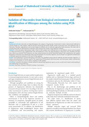 Isolation of Mucorales from Biological Environment and Identification of Rhizopus Among the Isolates Using PCR- RFLP