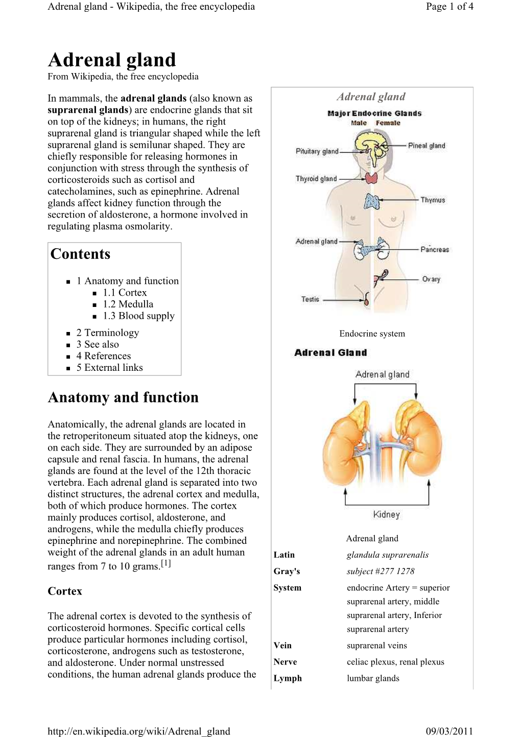 Adrenal Gland - Wikipedia, the Free Encyclopedia Page 1 of 4