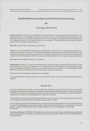 Chondrichthyens Mésozoïques Du Grand Duché De Luxembourg