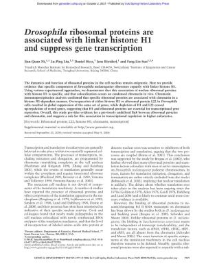 Drosophila Ribosomal Proteins Are Associated with Linker Histone H1 and Suppress Gene Transcription