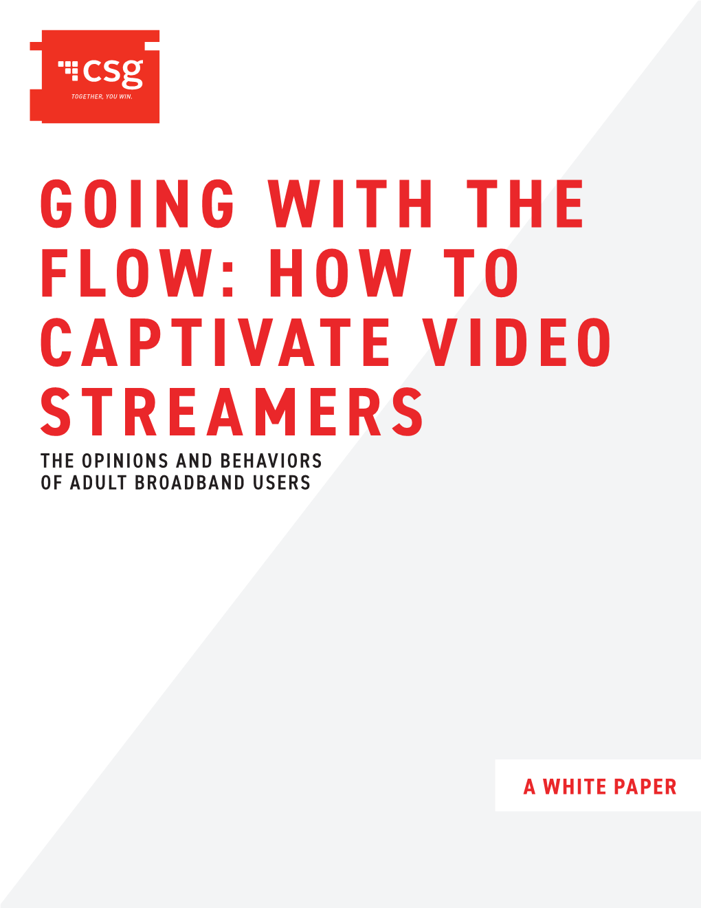 Going with the Flow: How to Captivate Video Streamers the Opinions and Behaviors of Adult Broadband Users