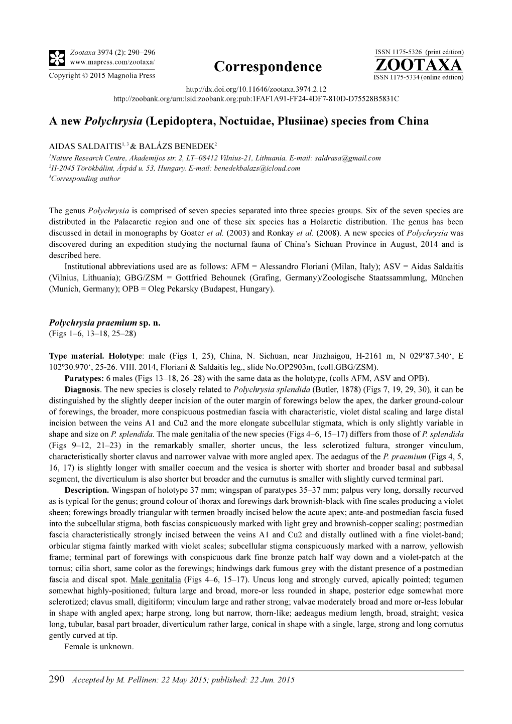 A New Polychrysia (Lepidoptera, Noctuidae, Plusiinae) Species from China
