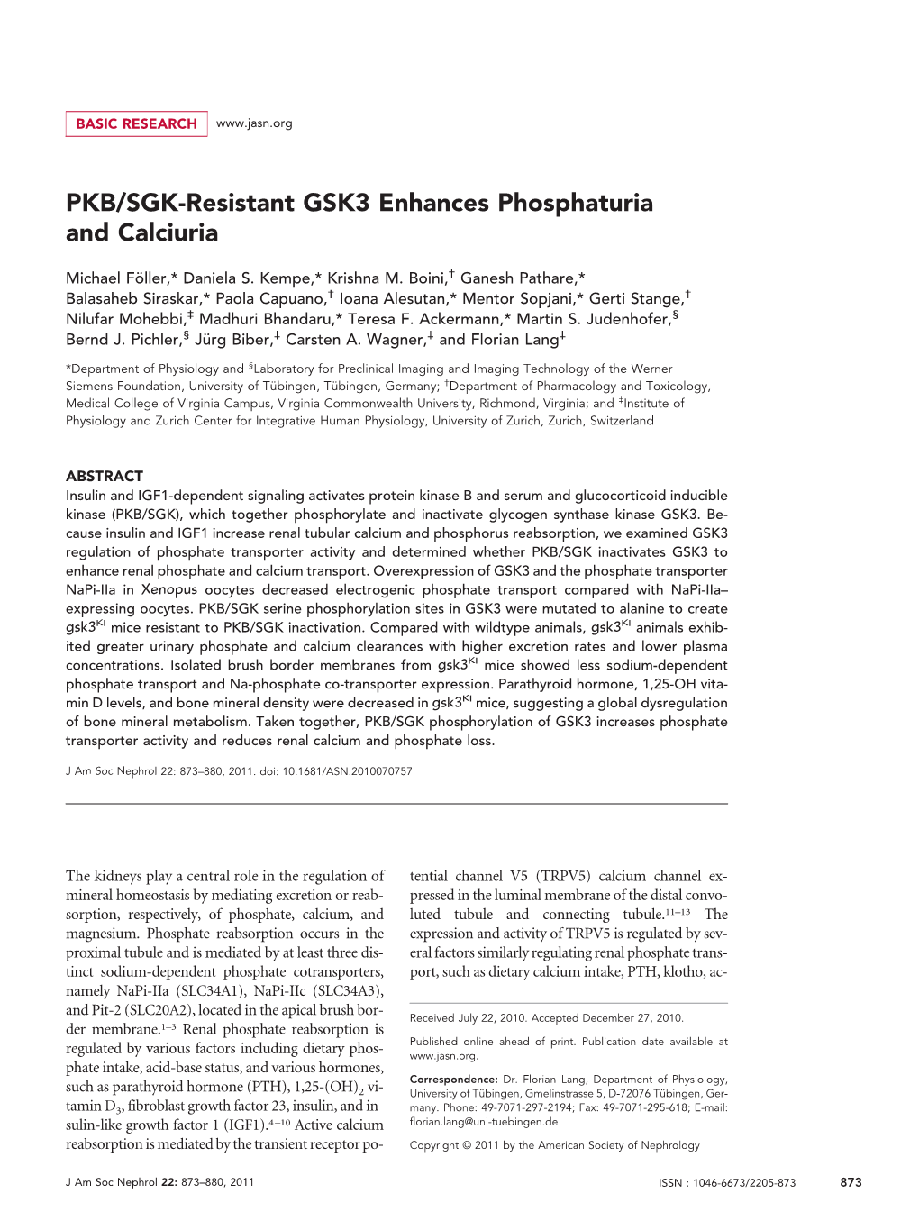 PKB/SGK-Resistant GSK3 Enhances Phosphaturia and Calciuria