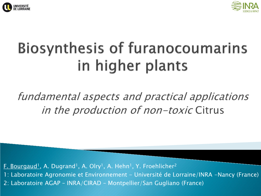 Biosynthesis of Furanocoumarins