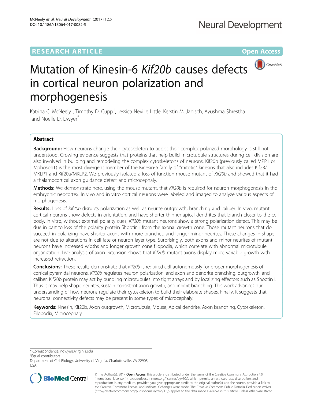 Mutation of Kinesin-6 Kif20b Causes Defects in Cortical Neuron Polarization and Morphogenesis Katrina C
