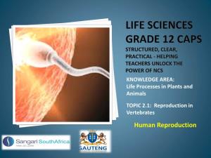 Grade 12 Life Science Human Reproduction Notes