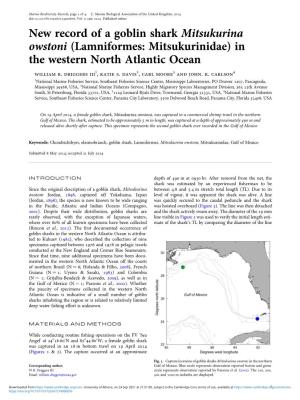 New Record of a Goblin Shark Mitsukurina Owstoni (Lamniformes: Mitsukurinidae) in the Western North Atlantic Ocean William B