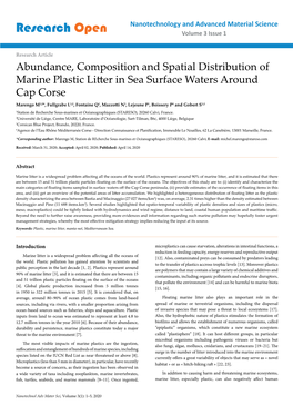 Abundance, Composition and Spatial Distribution of Marine Plastic Litter