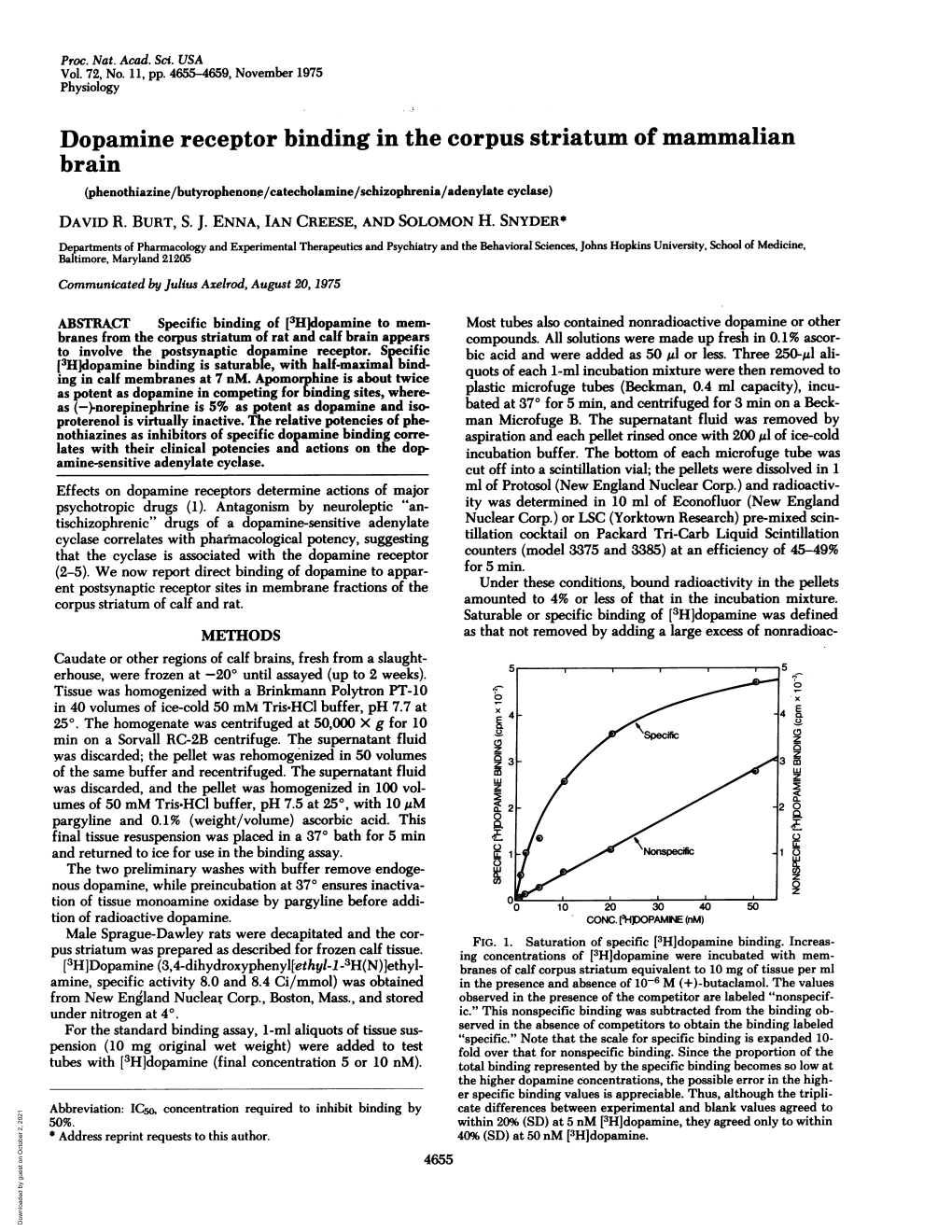 Dopamine Receptor Binding in the Corpus Striatum of Mammalian Brain (Phenothiazine/Butyrophenone/Catecholamine/Schizophrenia/Adenylate Cyclase) DAVID R