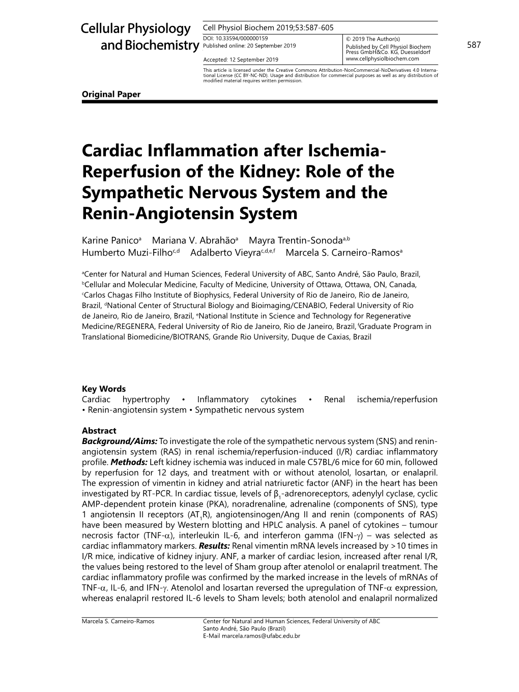 Cardiac Inflammation After Ischemia- Reperfusion of the Kidney: Role of the Sympathetic Nervous System and the Renin-Angiotensin System
