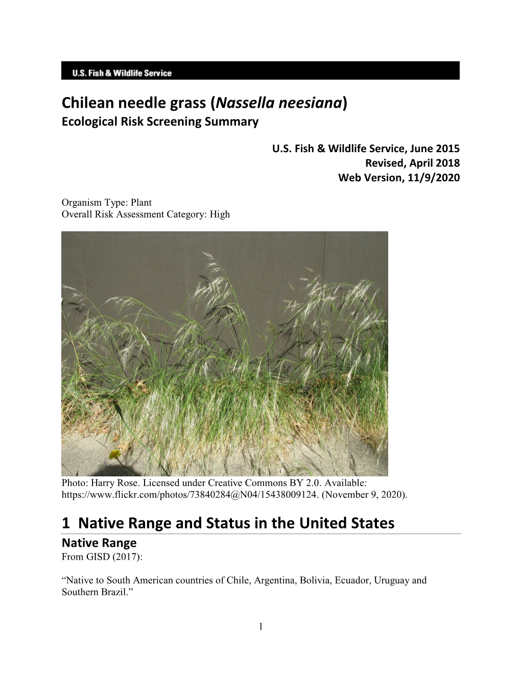 Chilean Needle Grass (Nassella Neesiana) Ecological Risk Screening Summary