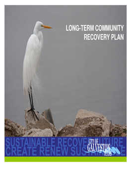 Long-Term Community Recovery Plan