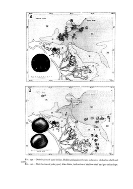 Macro-Invertebrate Assemblages As Indicators of Sedimentary