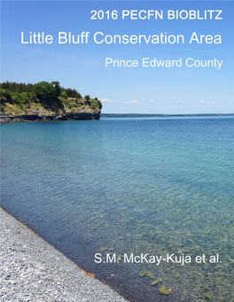 2016 Bioblitz Report (Little Bluff Conservation Area)