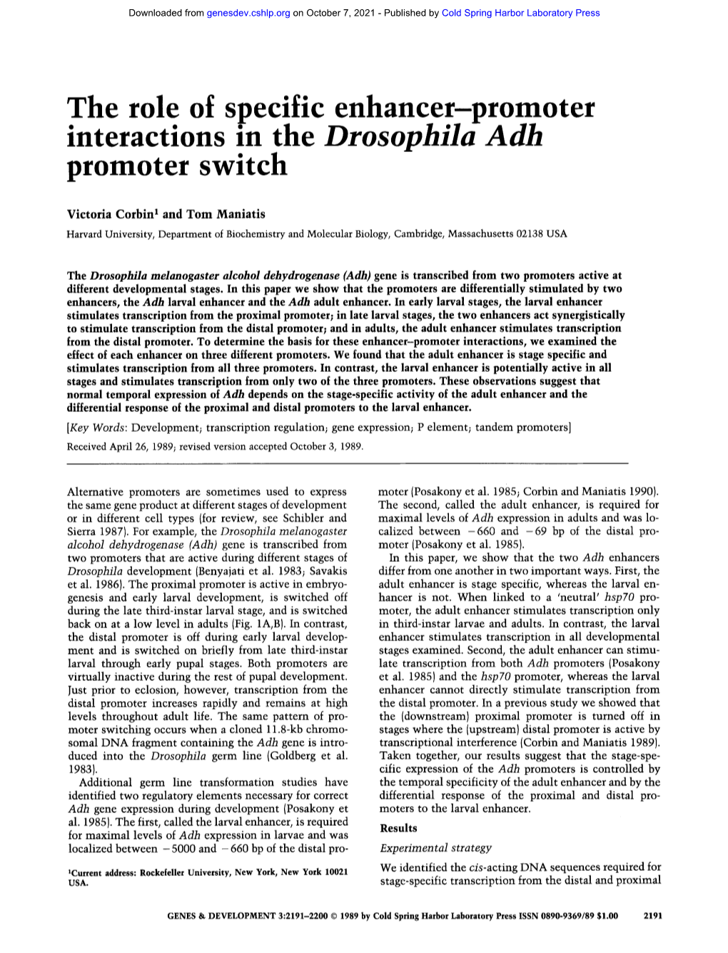 The Role of Specific Enhancer-Promoter Interactions in the Drosophila Adh Promoter Switch