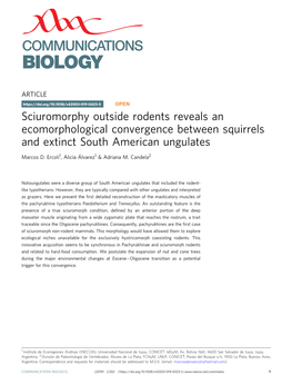 Sciuromorphy Outside Rodents Reveals an Ecomorphological Convergence Between Squirrels and Extinct South American Ungulates