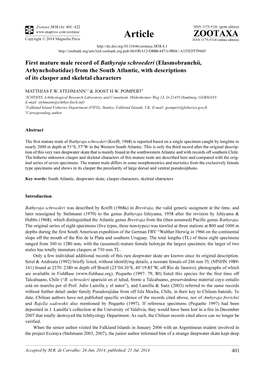 First Mature Male Record of Bathyraja Schroederi (Elasmobranchii, Arhynchobatidae) from the South Atlantic, with Descriptions of Its Clasper and Skeletal Characters