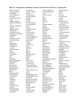 Biol 111 - Comparative & Human Anatomy Term List for Lab Exam 1 - Spring 2014 Abduct, Abductor Ceratotrichia External Oblique M