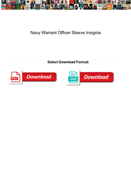 Navy Warrant Officer Sleeve Insignia