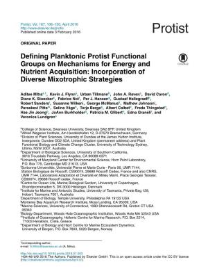 Defining Planktonic Protist Functional Groups on Mechanisms for Energy