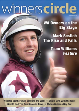 WA Owners on the Big Stage Mark Sestich the Rise and Falls Team Williams Feature