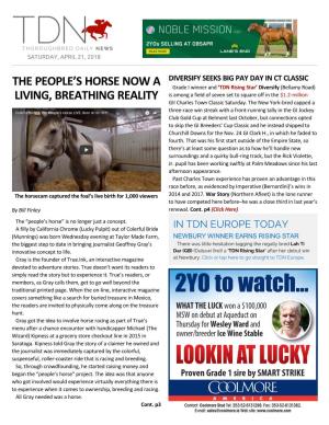 The People's Horse Now a Living, Breathing Reality