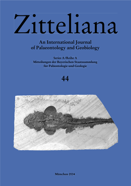 Evolution of the Pachychilidae TROSCHEL, 1857 (Chaenogastropoda, Cerithioidea) – from the Tethys to Modern Tropical Rivers 41