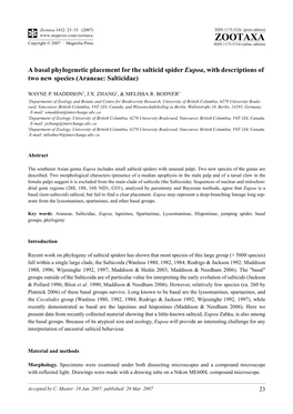 Zootaxa, a Basal Phylogenetic Placement for the Salticid Spider Eupoa