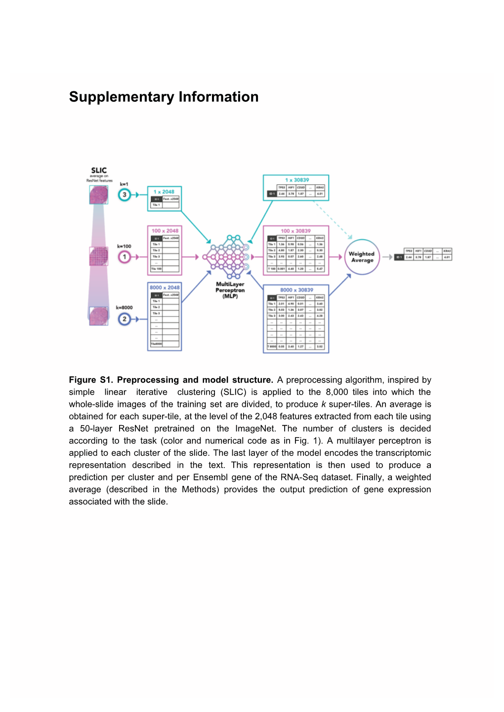 Supplementary Information