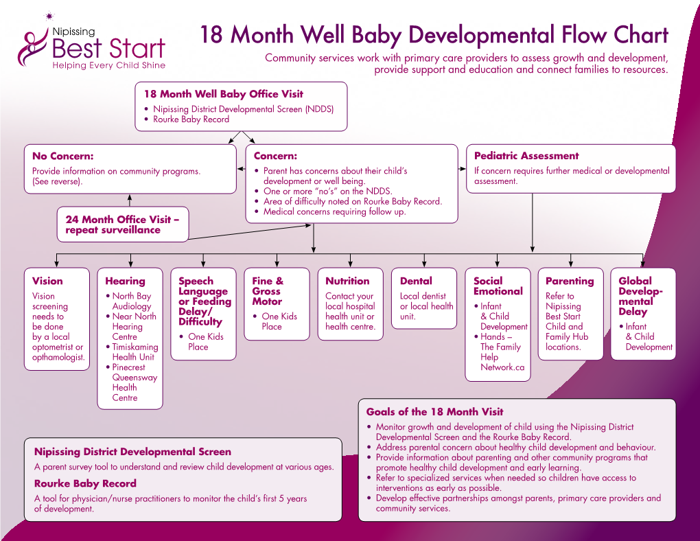 18 Month Well Baby Developmental Flow Chart