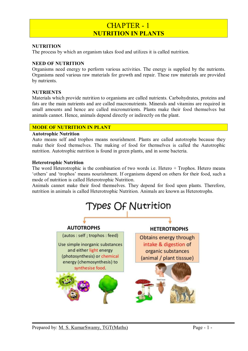 Chapter - 1 Nutrition in Plants
