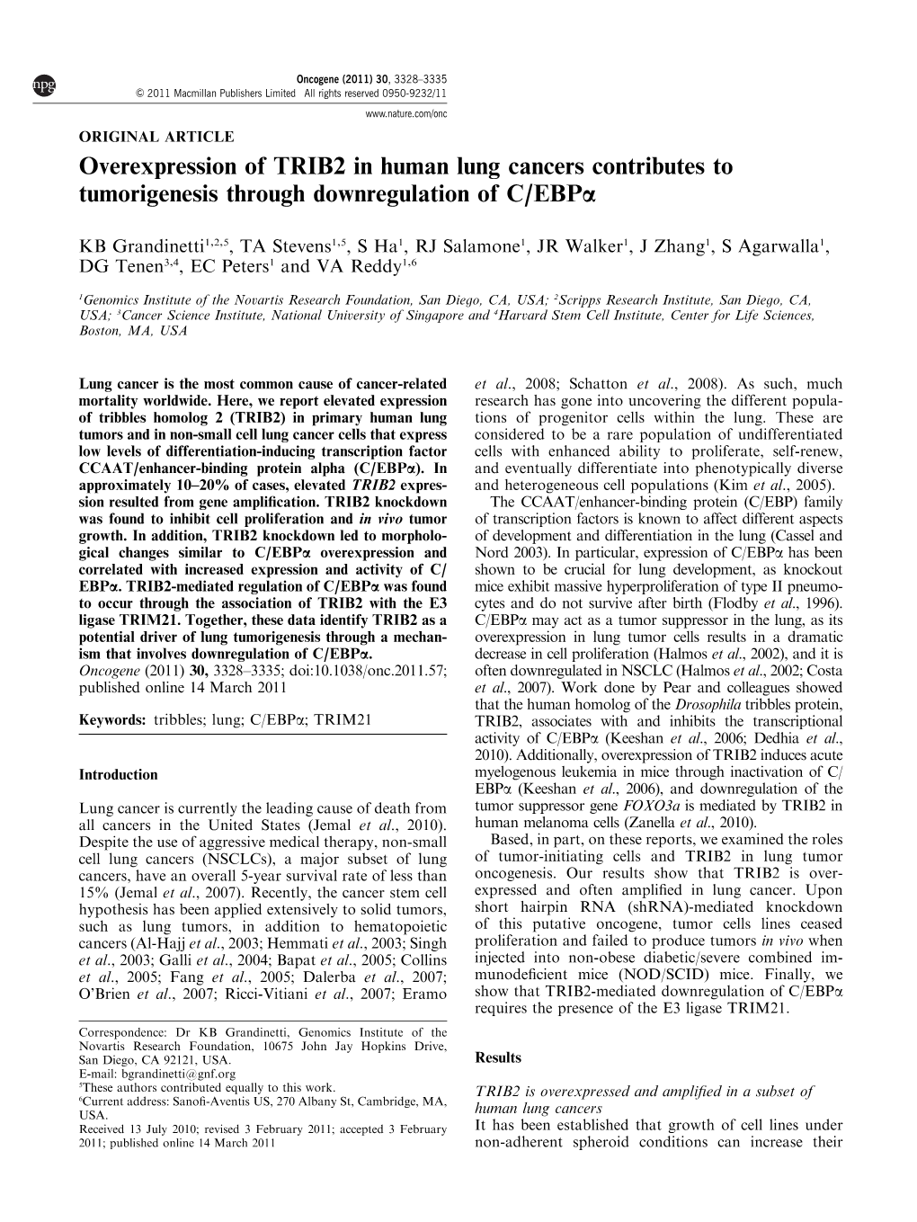 Overexpression of TRIB2 in Human Lung Cancers Contributes to Tumorigenesis Through Downregulation of C/Ebpa