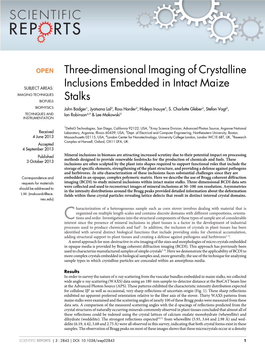 Three-Dimensional Imaging of Crystalline Inclusions Embedded In