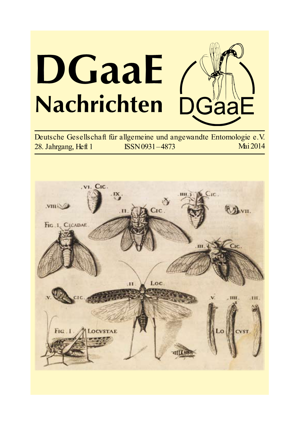 Dgaae Nachrichten