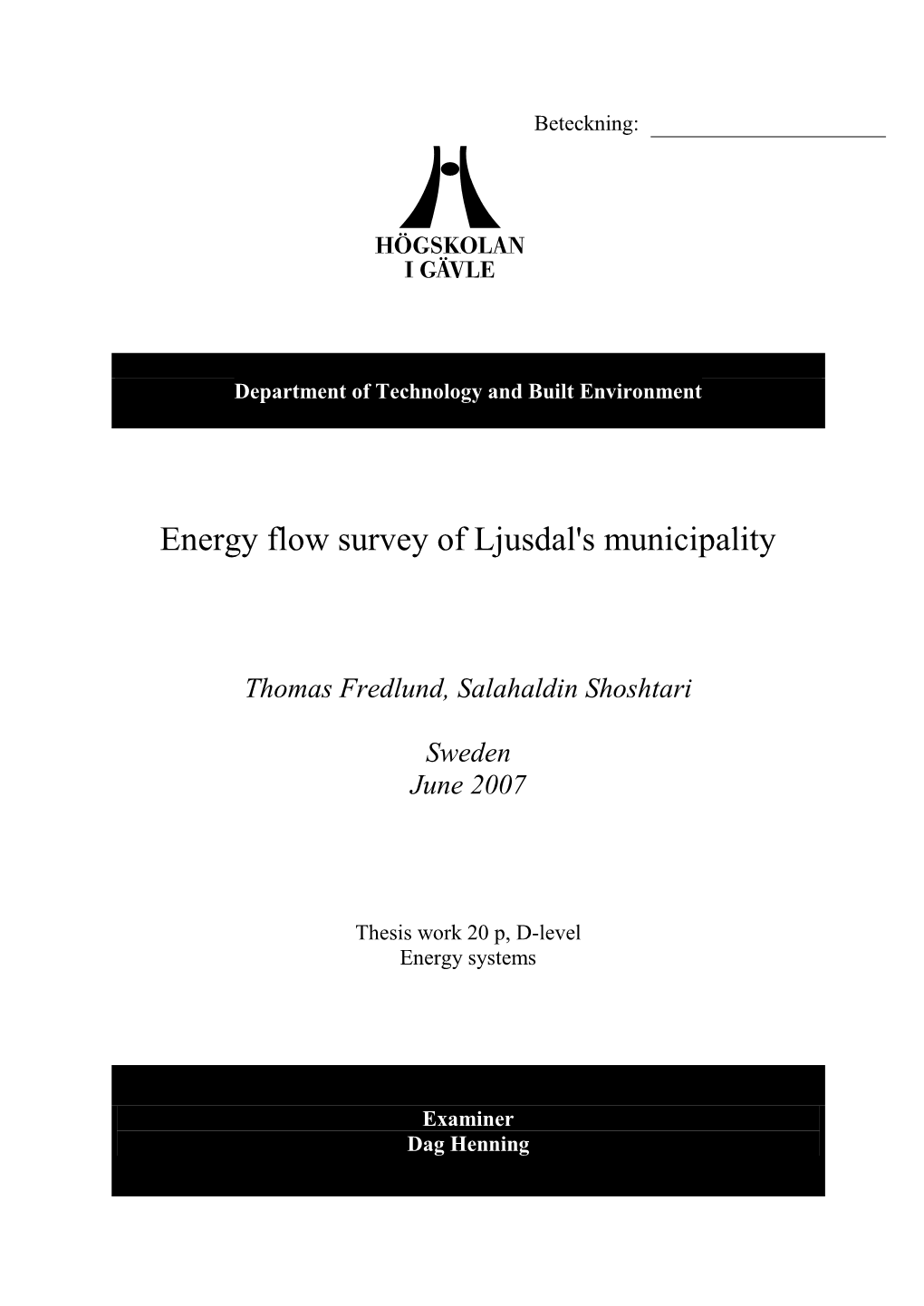 Energy Flow Survey of Ljusdals Municipality