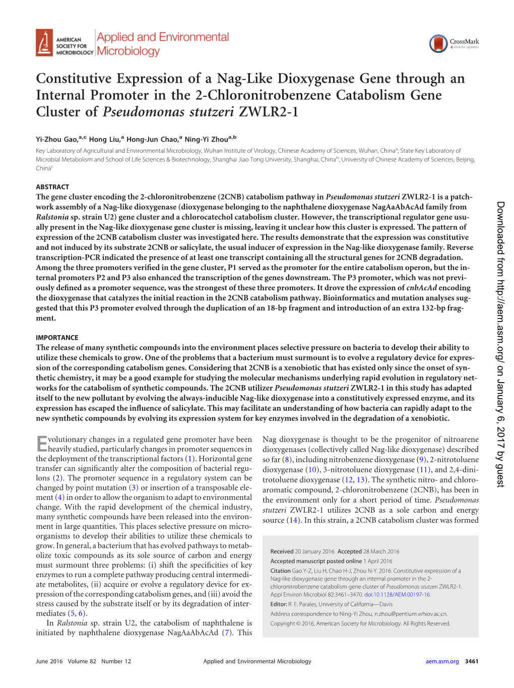 Constitutive Expression of a Nag-Like Dioxygenase Gene Through An