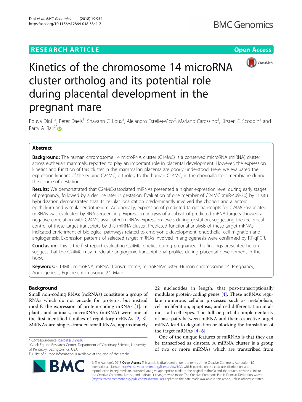 Kinetics of the Chromosome 14 Microrna Cluster