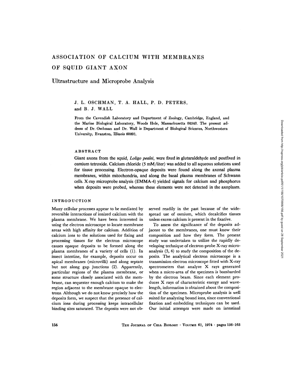 Association of Calcium with Membranes of Squid Giant Axon