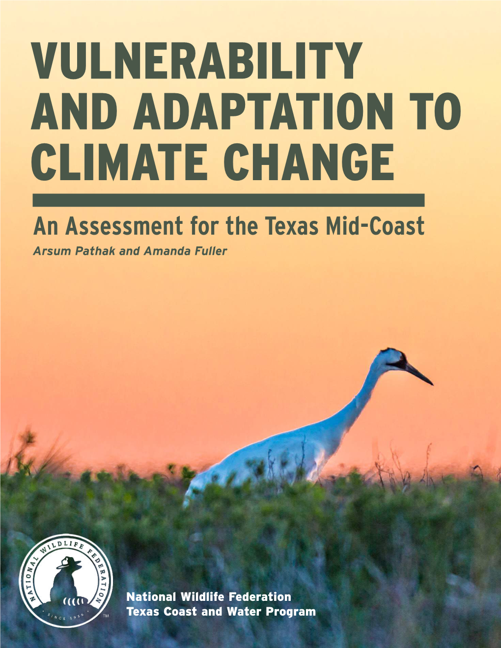 VULNERABILITY and ADAPTATION to CLIMATE CHANGE an Assessment for the Texas Mid-Coast Arsum Pathak and Amanda Fuller