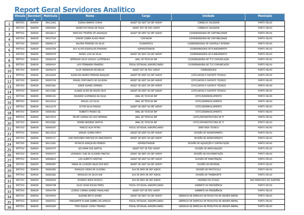 Report Geral Servidores Analitico