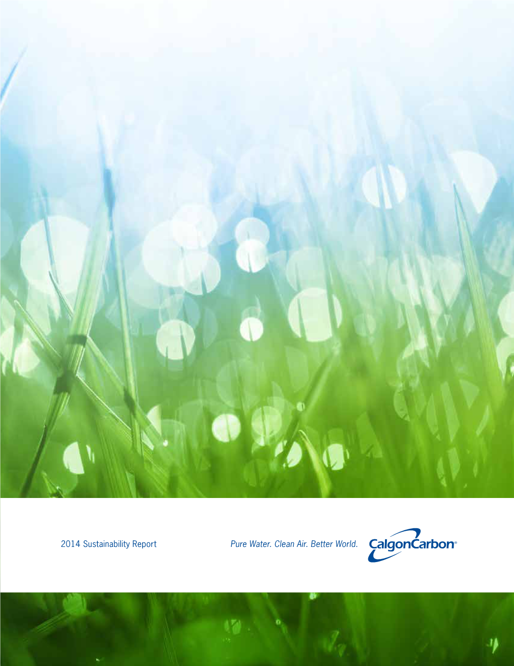 2014 Sustainability Report Pure Water. Clean Air. Better World