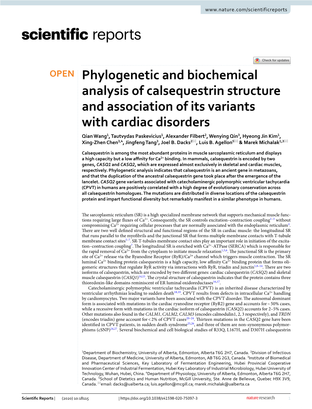 Phylogenetic and Biochemical Analysis of Calsequestrin Structure