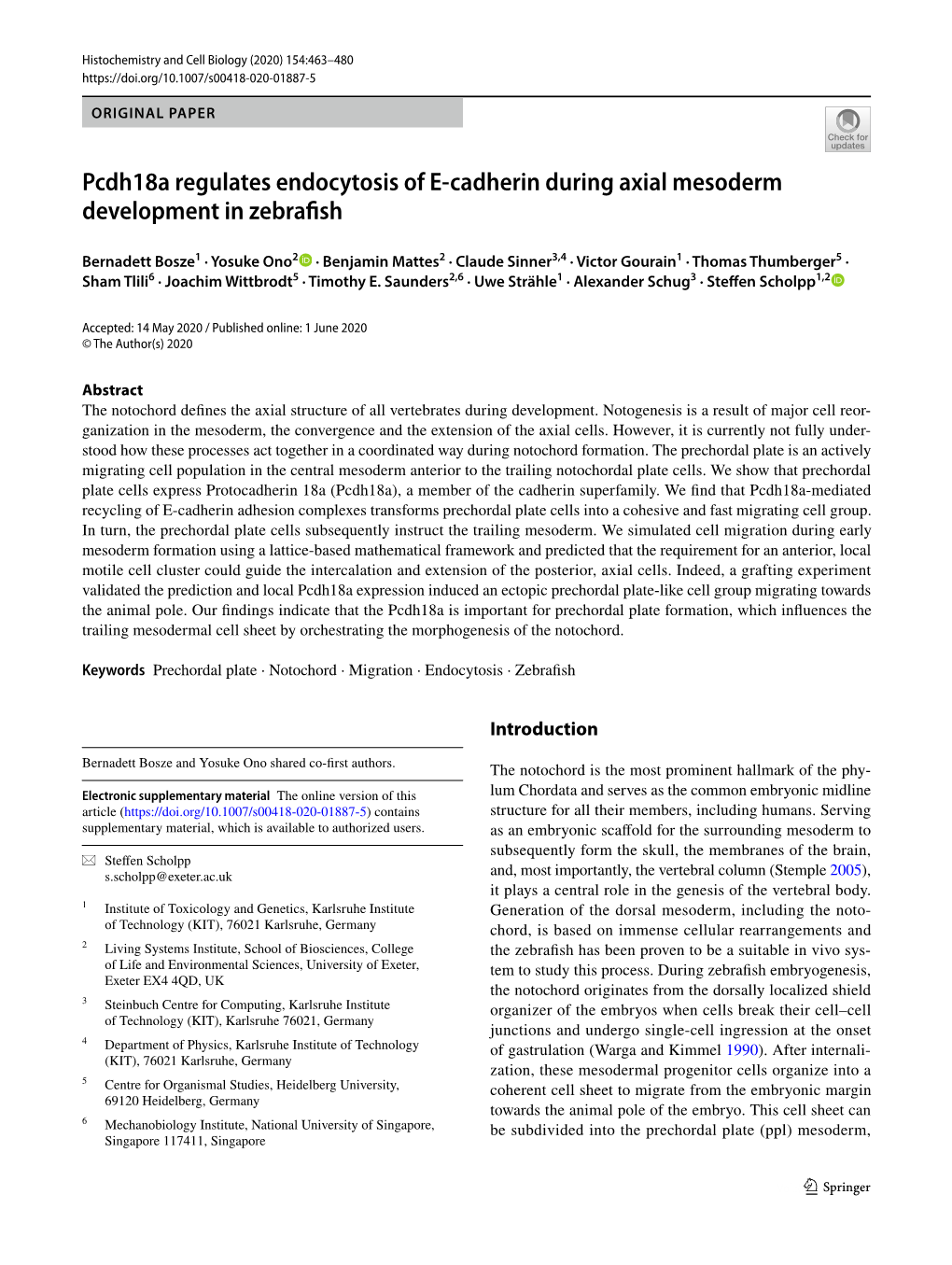 Pcdh18a Regulates Endocytosis of E-Cadherin During Axial Mesoderm