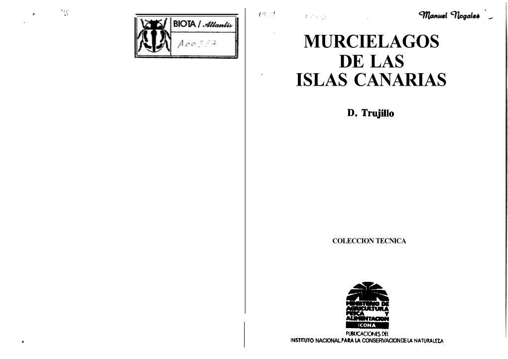 Murcielagos De Las Islas Canarias