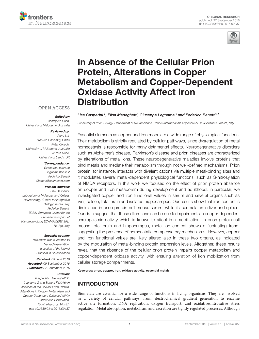 In Absence of the Cellular Prion Protein, Alterations in Copper Metabolism and Copper-Dependent Oxidase Activity Affect Iron Distribution