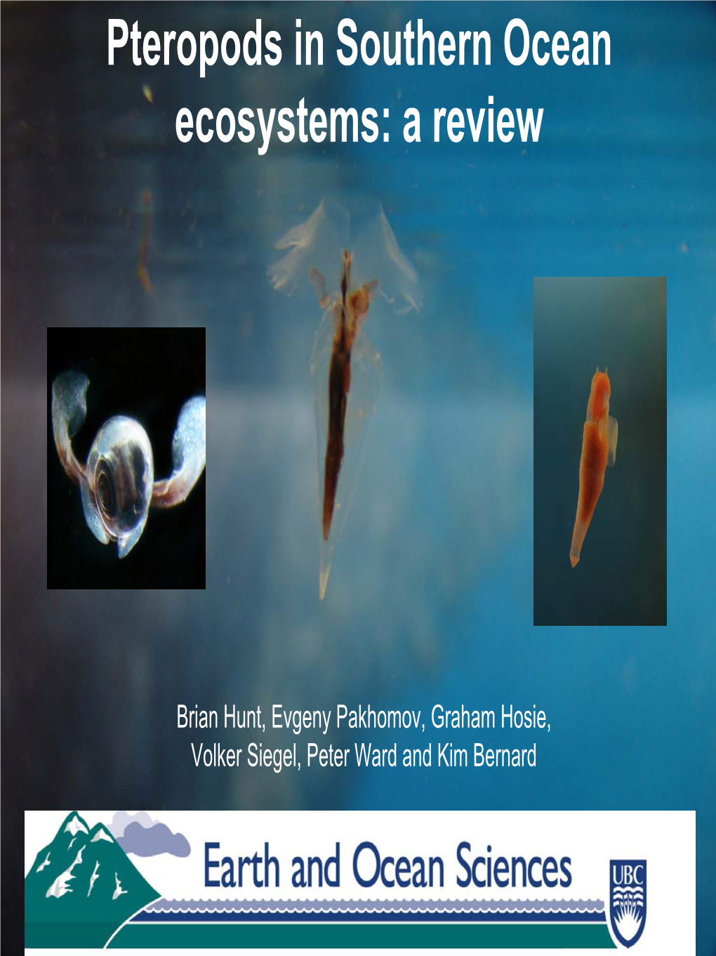 Pteropods in Southern Ocean Ecosystems: a Review